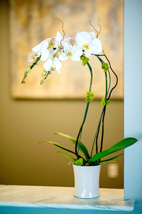 flower on desk